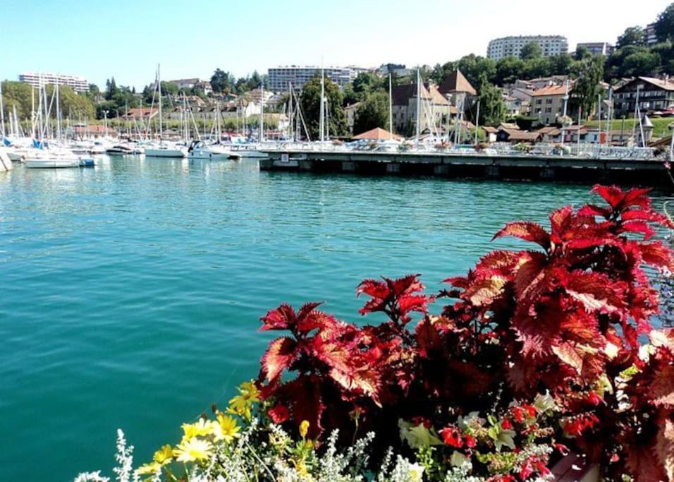 Apartmán Au Sunrise Studio Thonon-les-Bains Exteriér fotografie